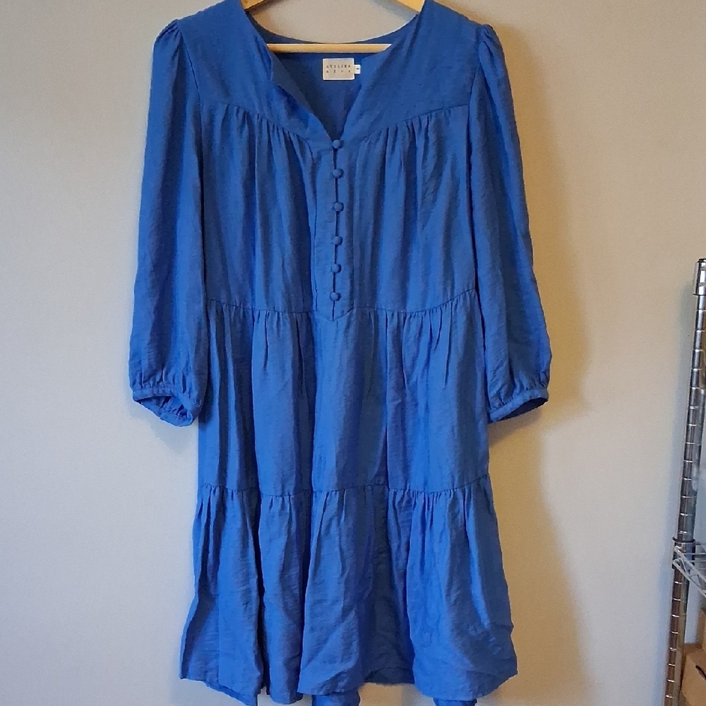 Blue Button-Front Dress